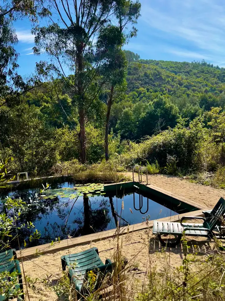Biological swimming pool at Monte da Orada surrounded by native forest